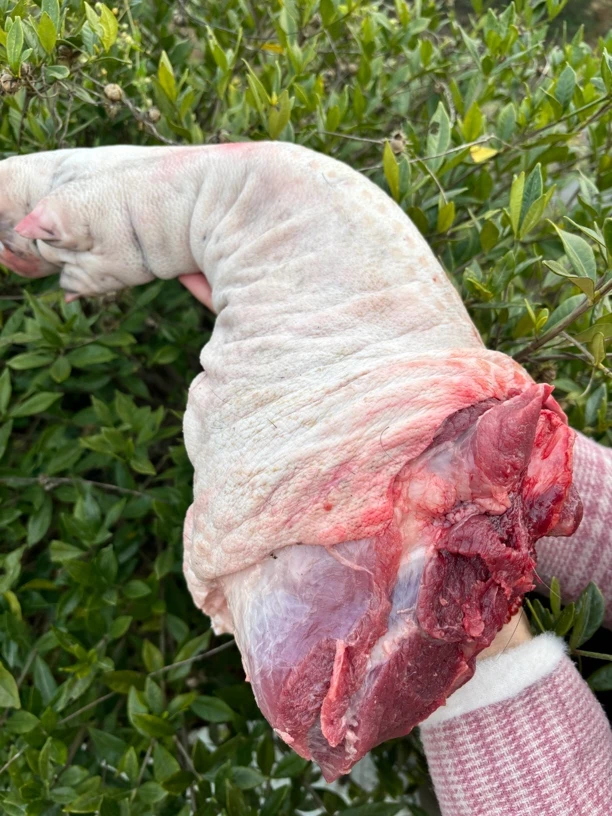 【猪脚】高山散放慢养18个月以上富硒黑土猪肉