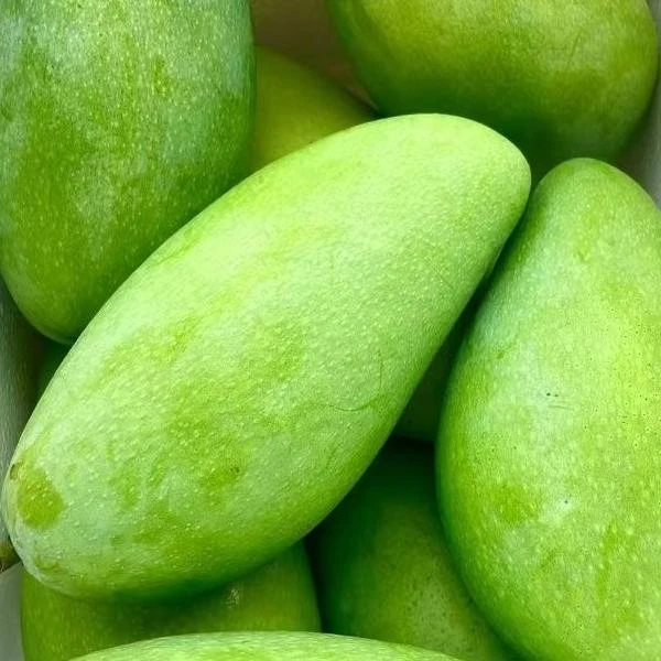 越南大青芒 1斤