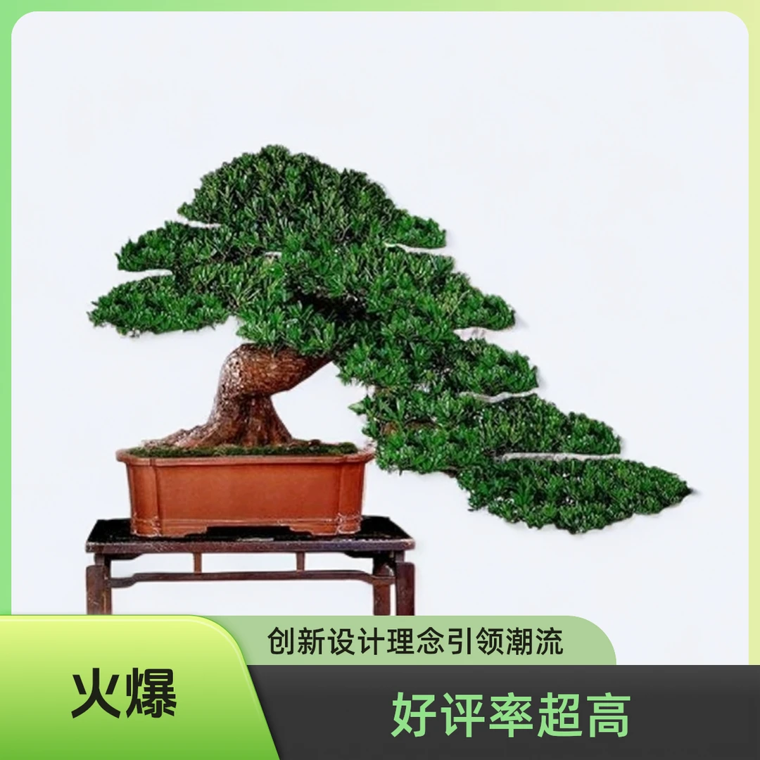 造型迎客盆景罗汉松室内外摆放四季常青红芽珍珠老桩迎客松盆景