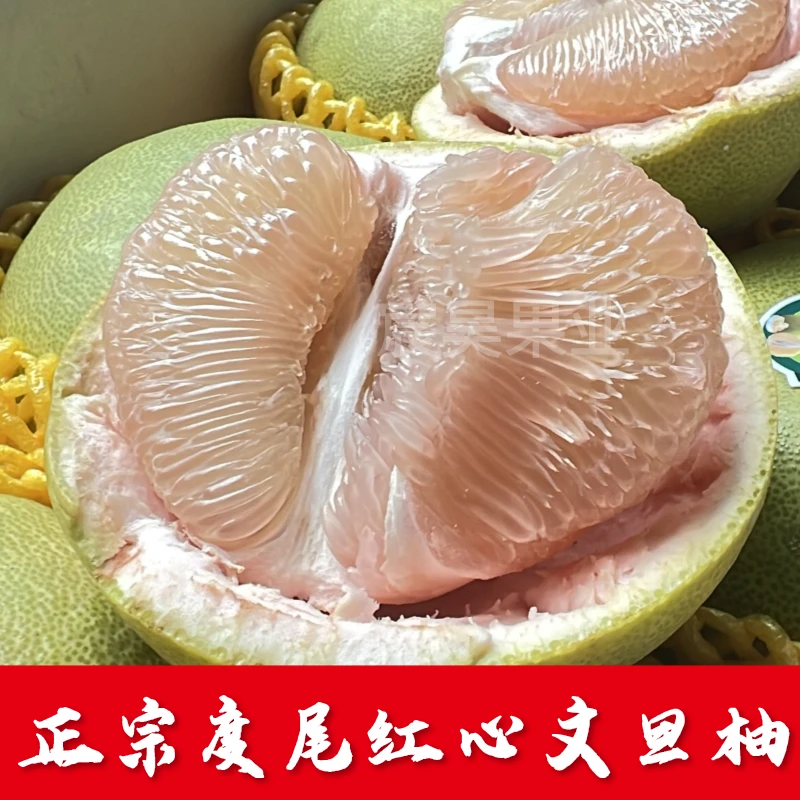 【尝鲜精选老树大果】正宗度尾红心文旦柚子蜜柚现摘无裂孔应季水果
