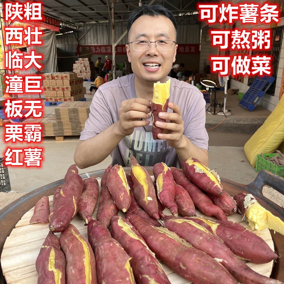 粗壮大果新鲜陕西临潼沙土地瓜黄白心板栗农家山芋番蜜红薯9斤