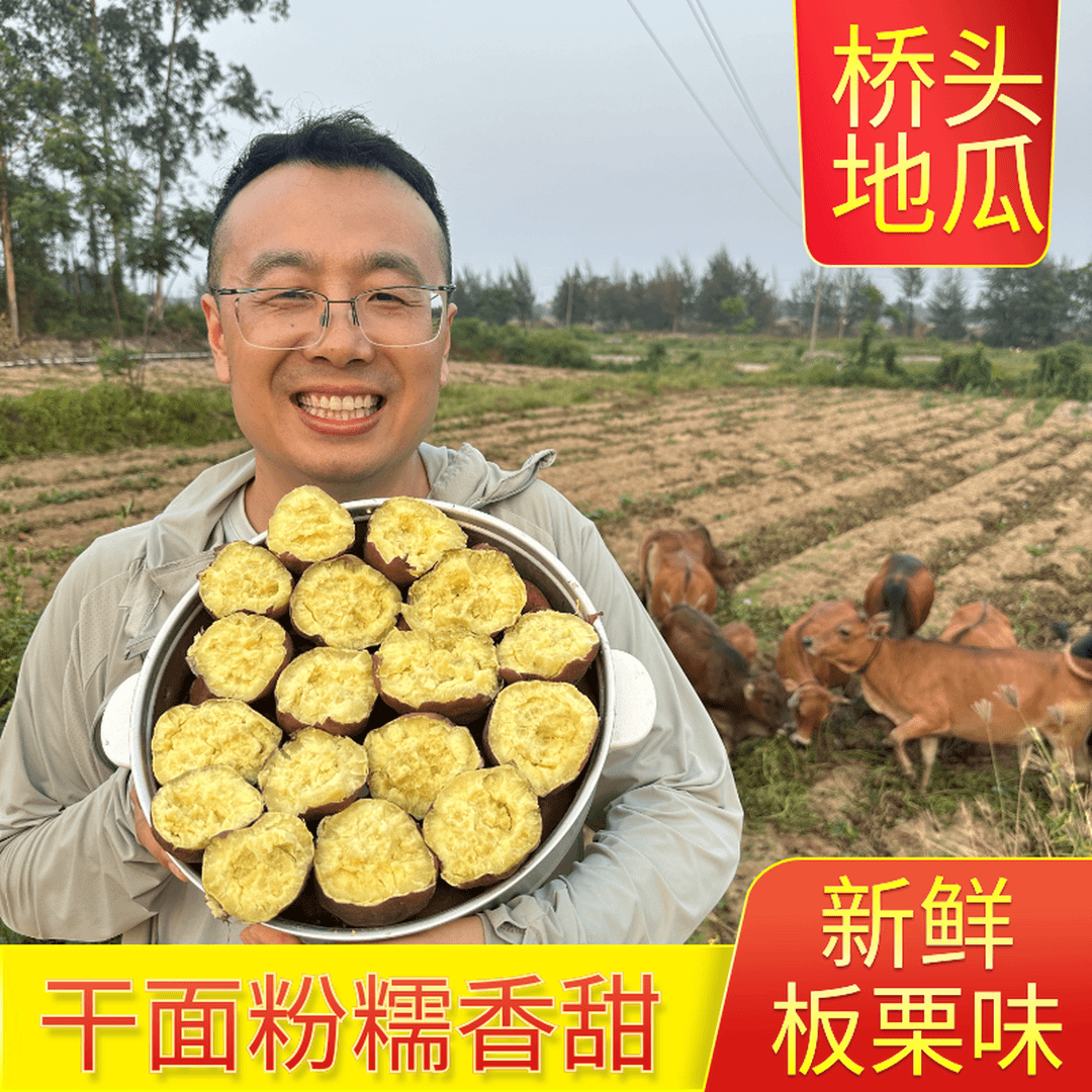 新鲜现挖海南桥头富硒地瓜粉糯香甜栗子味番薯山芋5斤长果