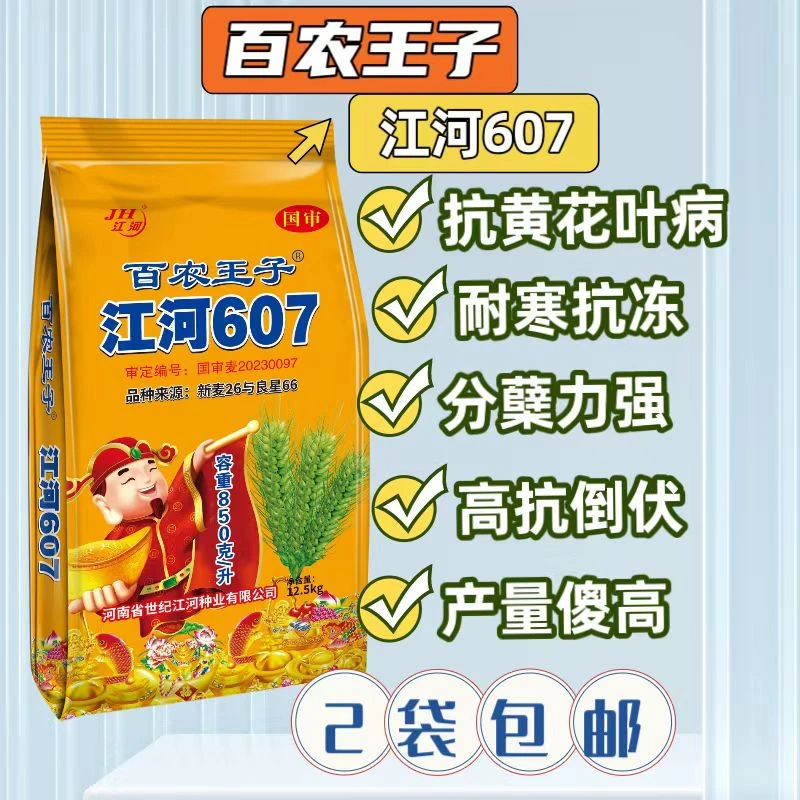 国审高产容重850百农王子江河607小麦种子
