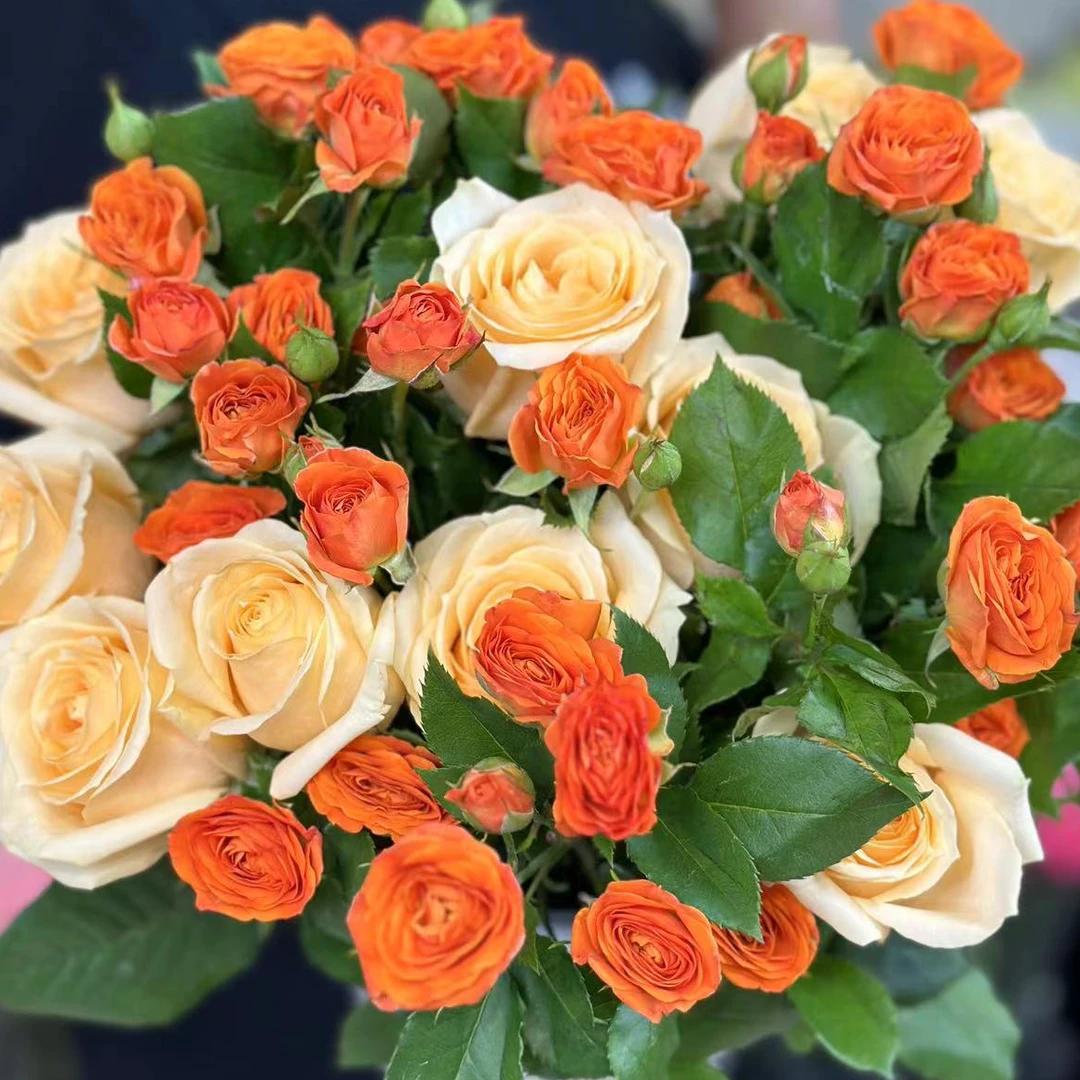 【新疆包邮】10枝香槟玫瑰＋五枝橙泡泡多头玫瑰家居花【生花苞