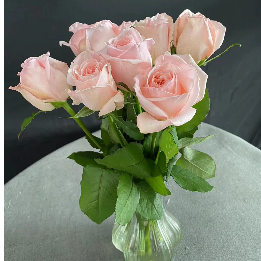 【新疆包邮】荔枝粉玫瑰鲜花【生花苞】