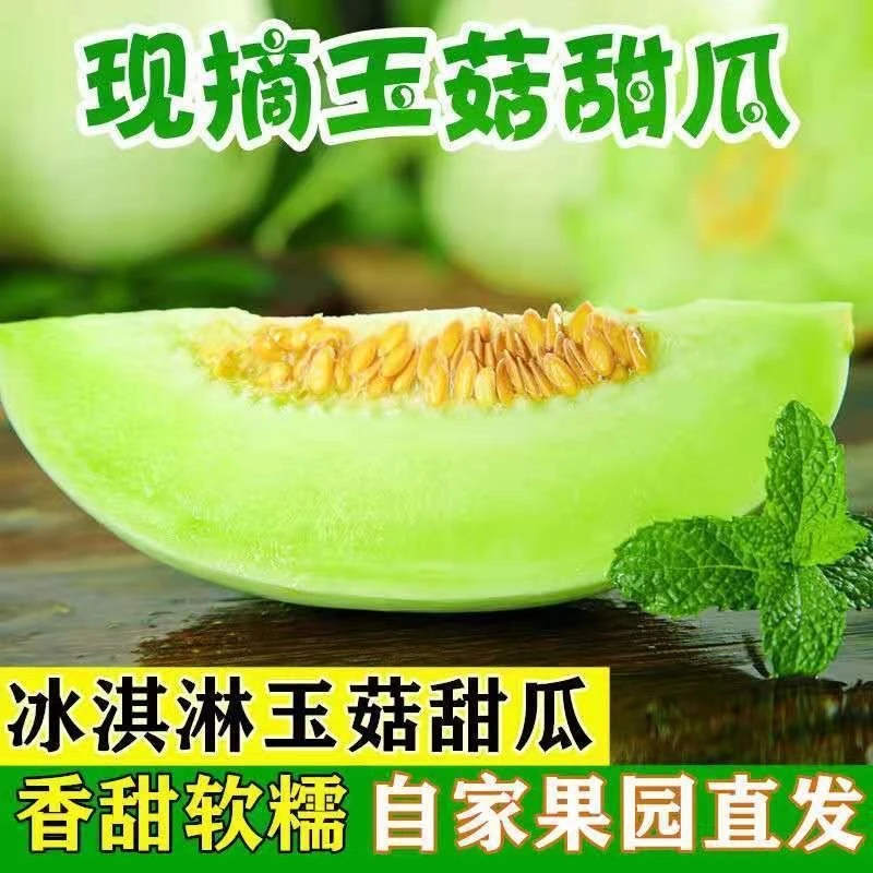 【冰淇淋甜瓜】山东玉菇甜瓜产地直发自然成熟香甜软糯孕妇水果批发