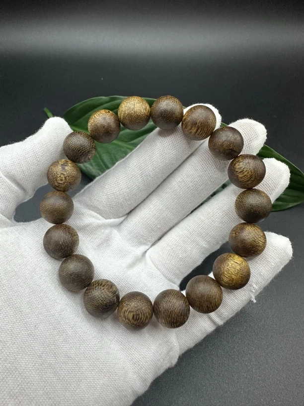 海南白棋1.2➕单圈保9克➕多样性发一条