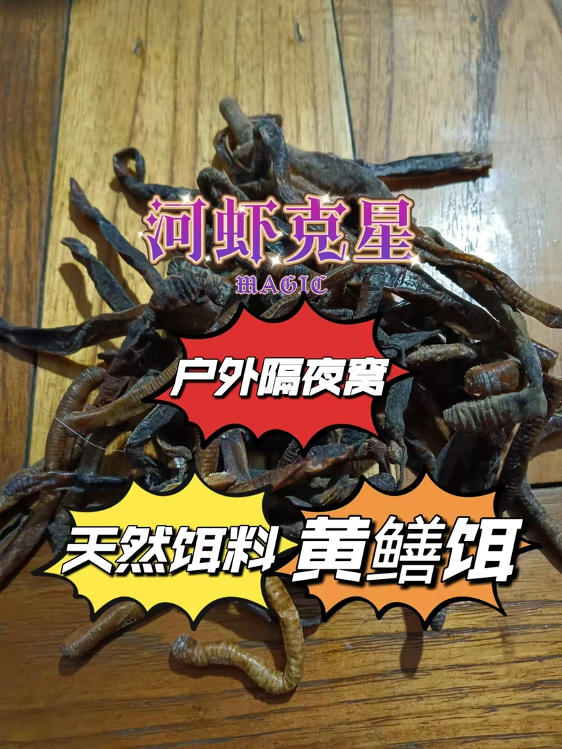 蚯蚓干天然晾晒无添加隔夜窝黄鳝笼河虾隔夜窝黑坑新货上市