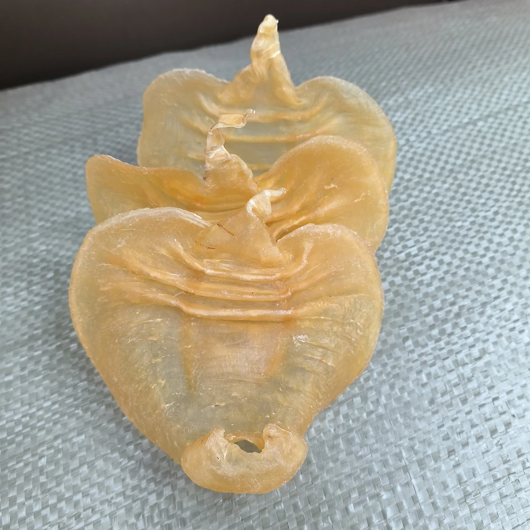 湛江【赤嘴公】赤嘴鳘鱼胶干货公胶花胶鱼鳔海鲜月子孕妇滋补食材
