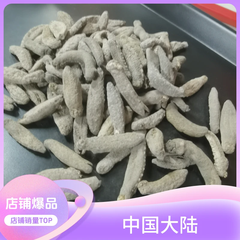 【批发】小灰北极参400-500头淡干货小青皮海参泡发率5-7倍酒店水发