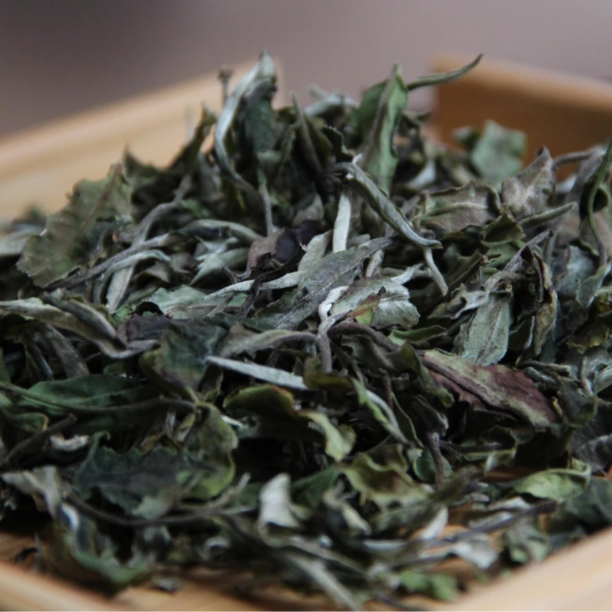 【直播同价】2023年勐库春牡丹王一芽二叶白茶