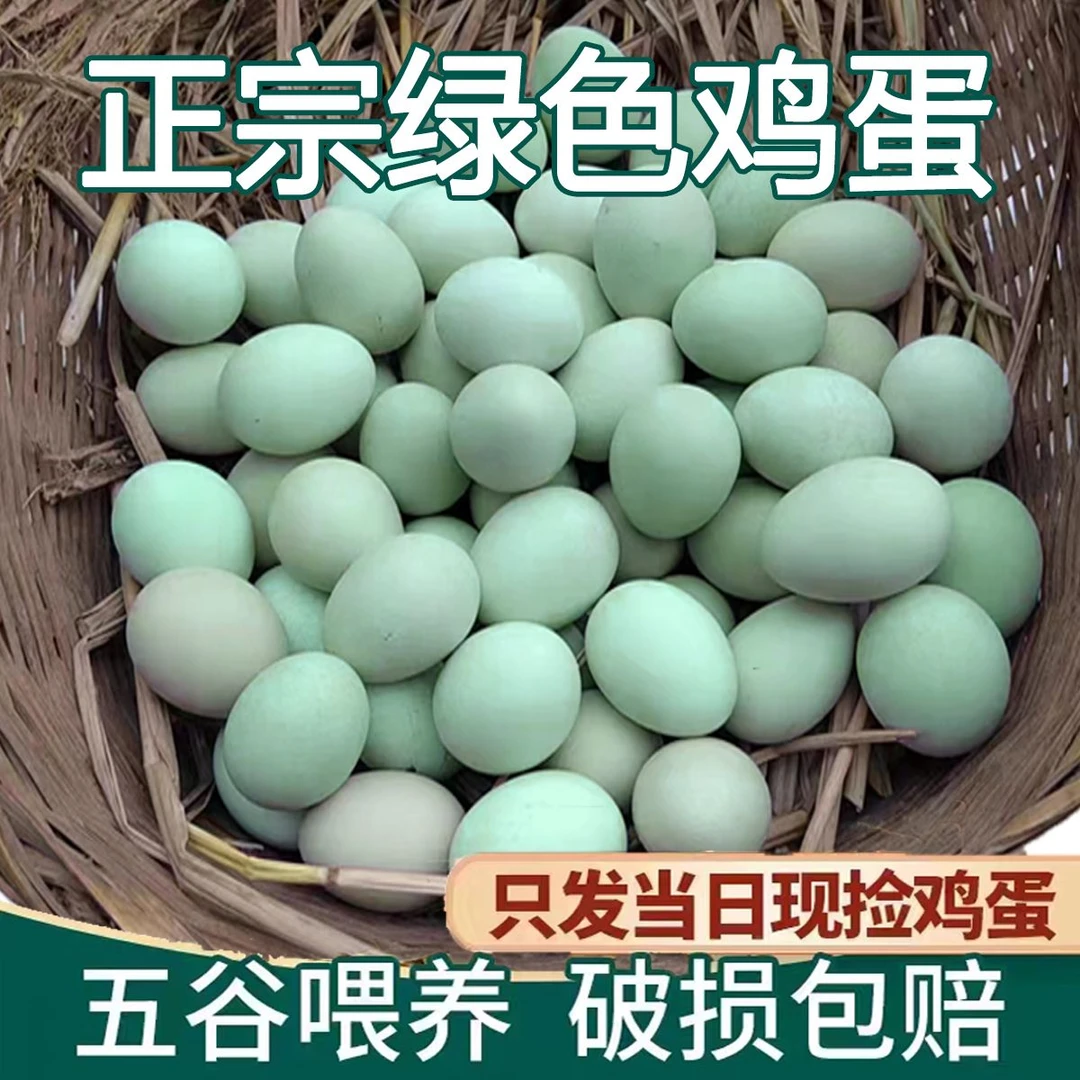 正宗绿壳鸡蛋乌鸡蛋当日现捡土鸡蛋林下散养月子营养健康10-50枚