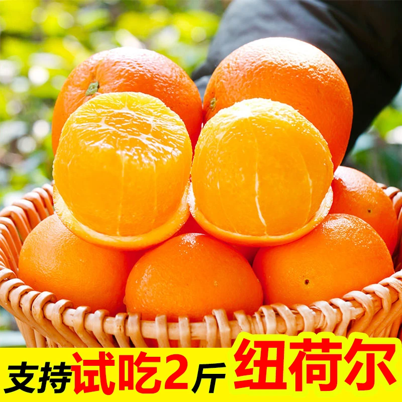 【比赣南脐橙好吃】纽荷尔崀山脐橙味十足现摘现发自然成熟皮薄多汁
