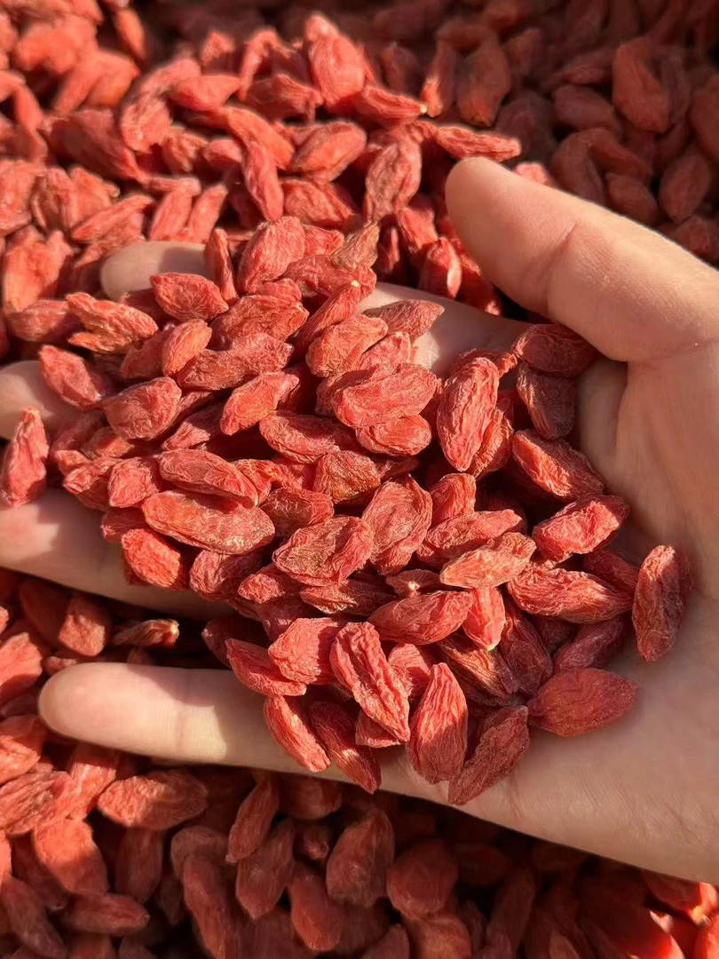 大枸杞，宁夏农户正宗无硫无熏自然晾晒