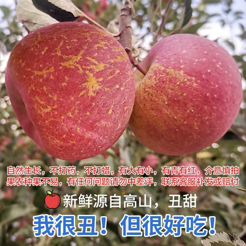 四川正宗冰糖心丑苹果自然生长冰糖心脆甜多汁带箱十斤包邮