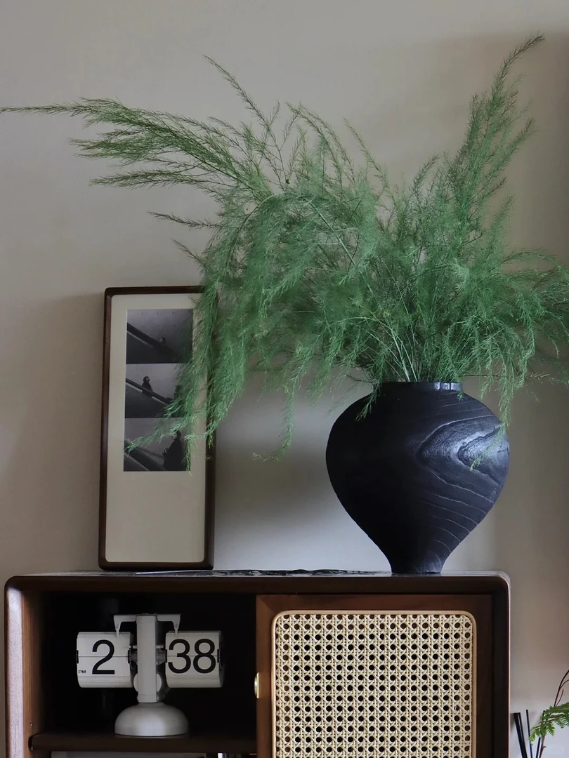 芦荀草 氛围感爆款花材  小众高级感花材