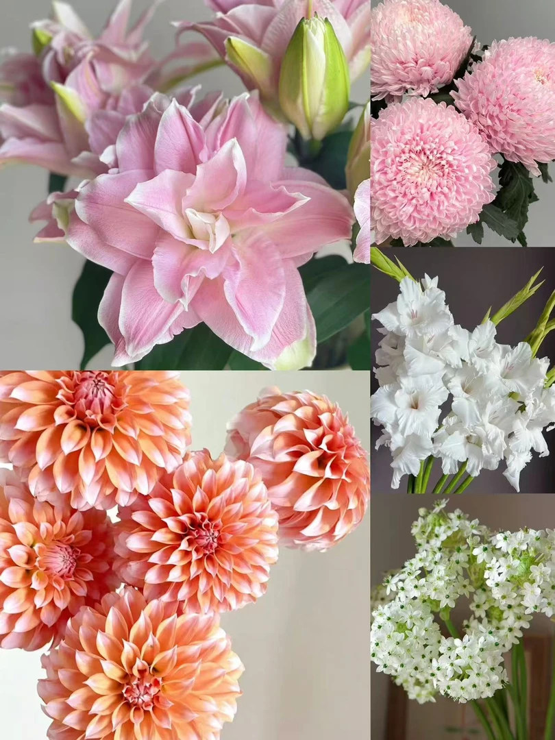 婵之语花咖优选  仙女座鲜花组合套餐