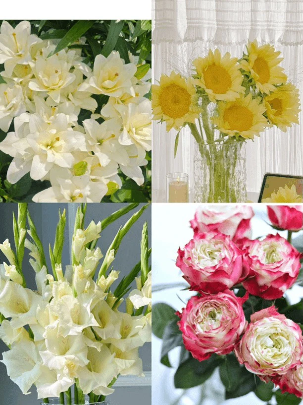 婵之语优选奶油冰淇淋鲜花组合四件套