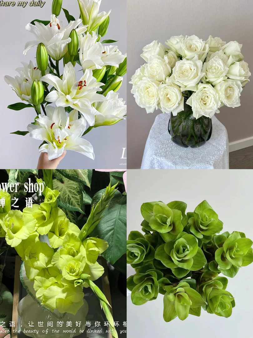 【白雪公主】婵之语鲜花组合套餐