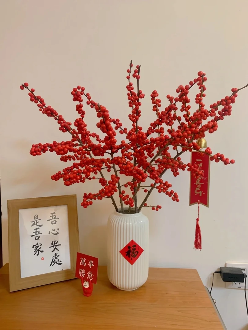 婵之语优选北美冬青60公分 年宵花 花期超长寓意吉祥如意