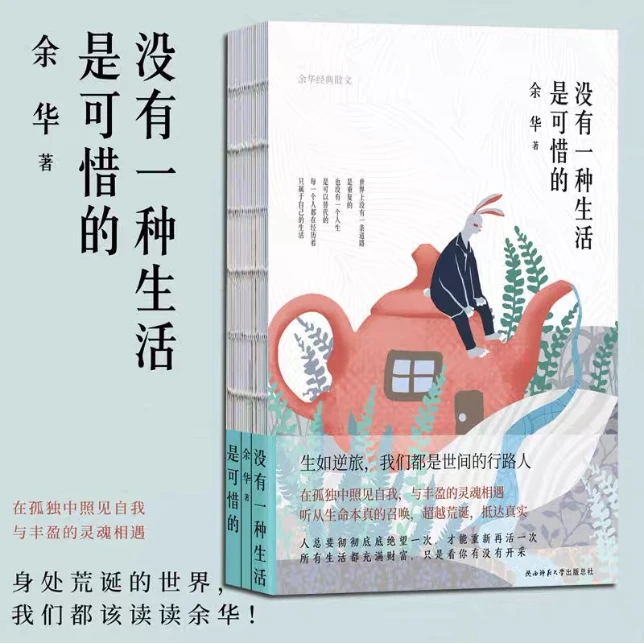 《没有一种生活是可惜的》（继《活着》之后，余华再论人生与自我）精装