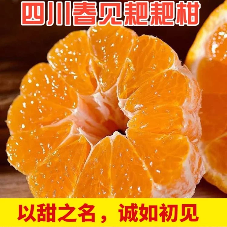四川眉山春见耙耙柑粑粑柑皮薄爆汁新鲜柑橘水果产地直供5/8斤