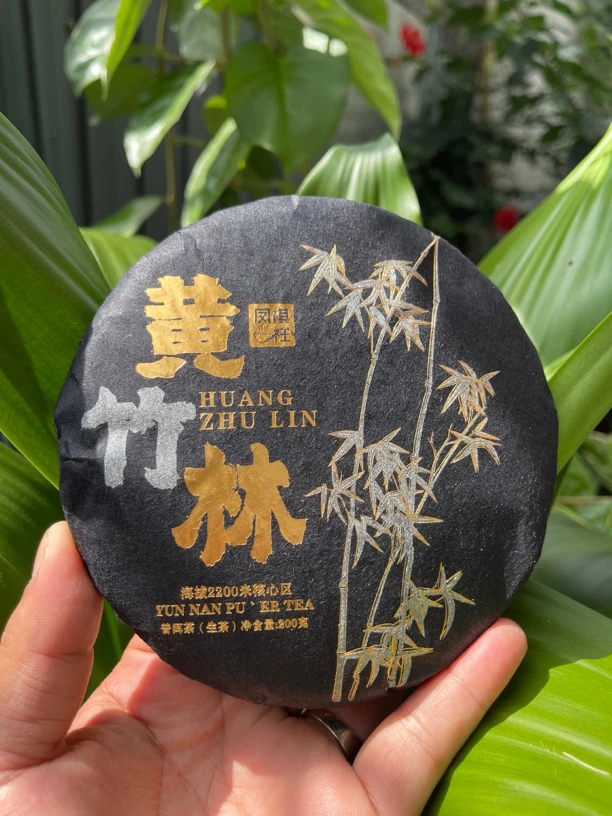 星火推荐～2022年临沧大雪山头黄竹林保护区，古树生普饼