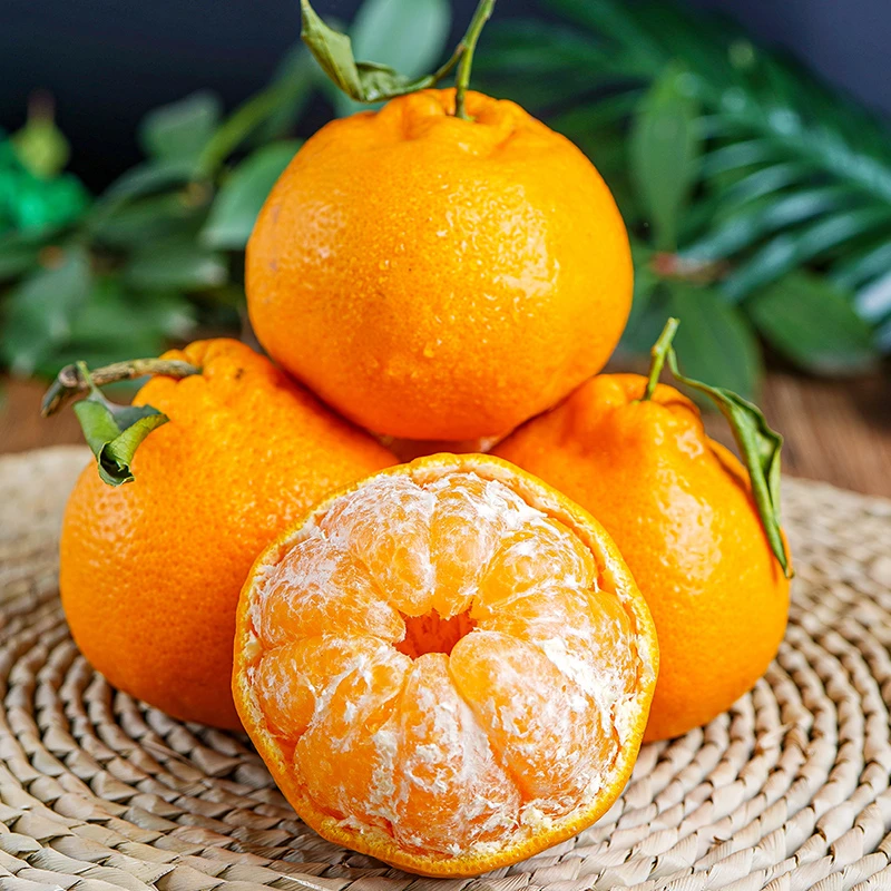 【春禾果园】四川耙耙柑新鲜当季现摘孕妇香甜水果4-8斤整箱柑橘