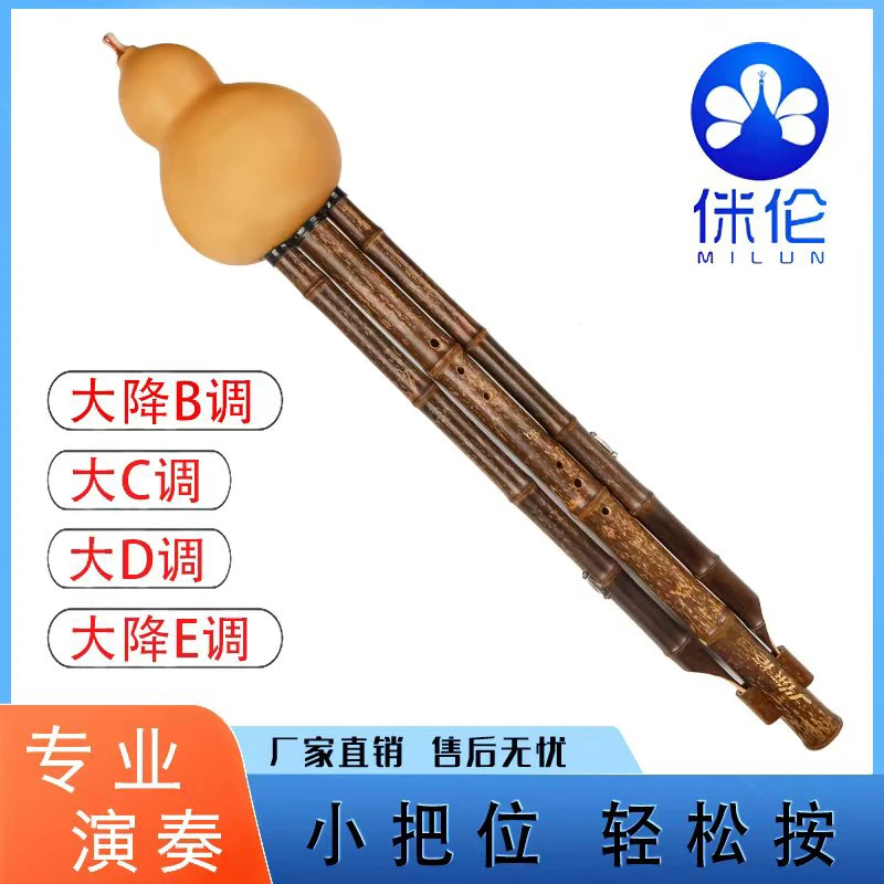 大号低音葫芦丝大降B调大D调大C调大降E