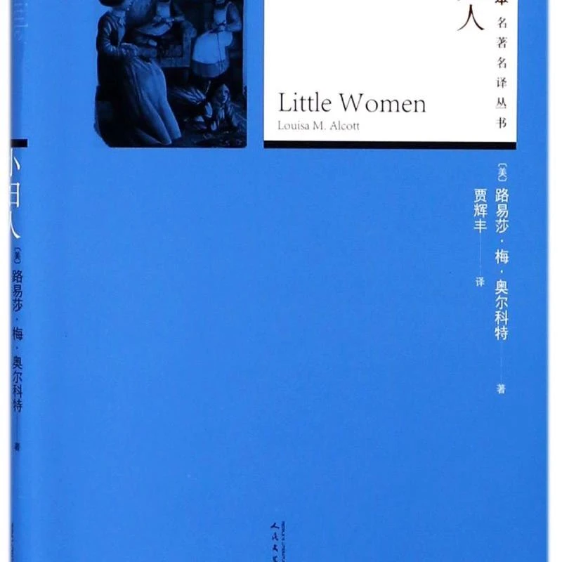 小妇人/插图本名著名译丛书 浙江新华正版