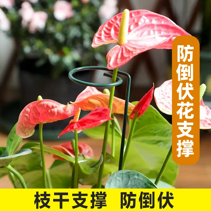 防倒伏花支撑[园艺]