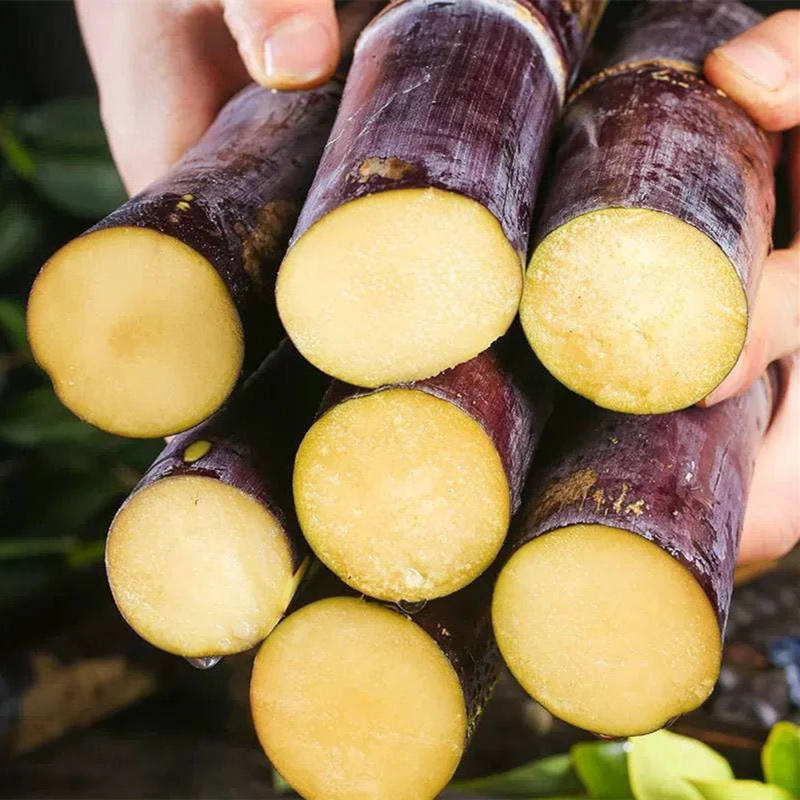 9斤黑皮甘蔗广西甘蔗新鲜水果特产甜杆皮薄肉脆5斤