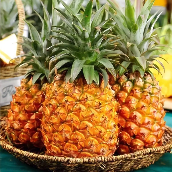 海南金钻凤梨新鲜水果香甜多汁手撕无眼超甜凤梨海南金钻凤梨