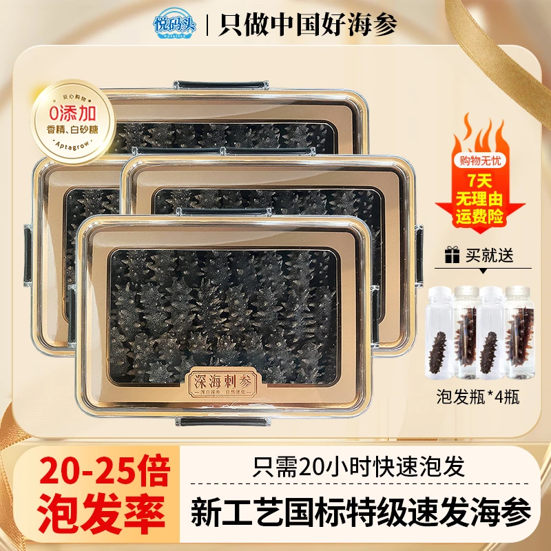 【Q弹劲道口感】大连深海淡干海参蒸制海参浓缩0添加营养专柜品质