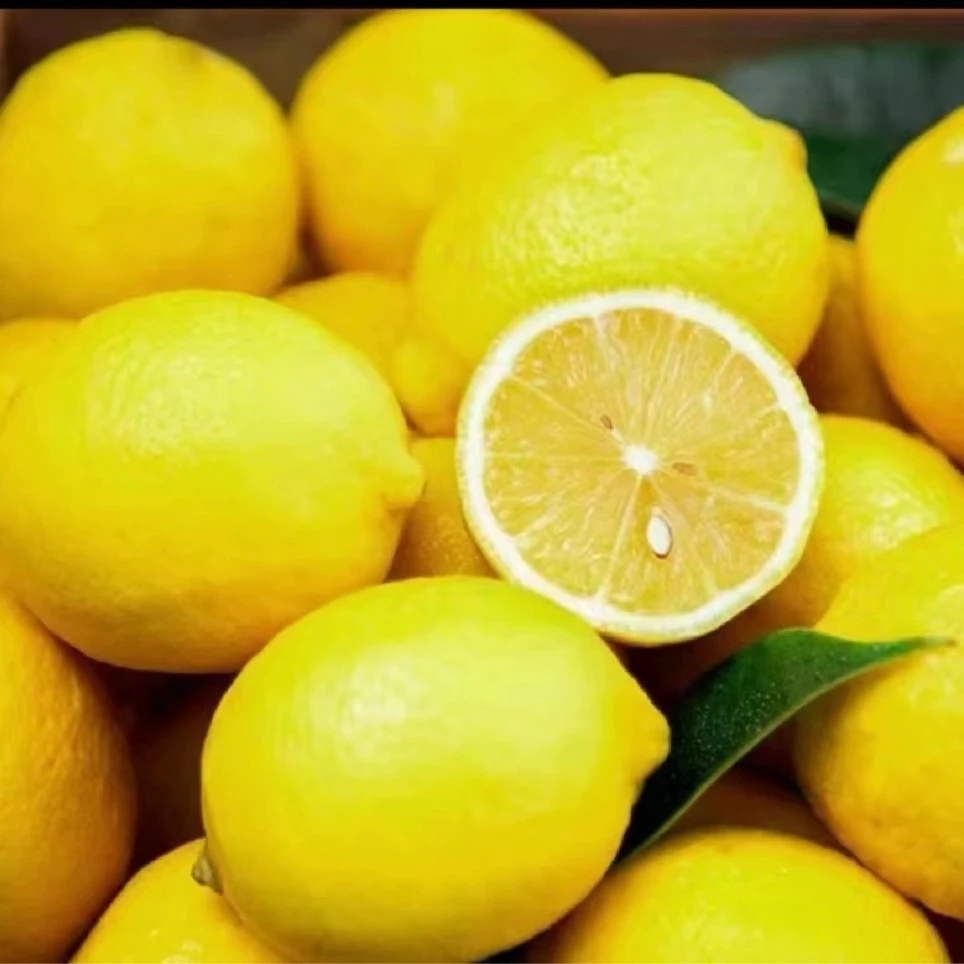 同城配送/柠檬约250克