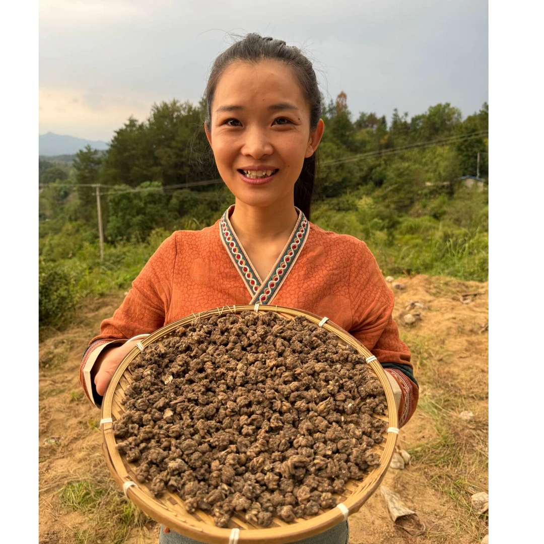 大山里 猫爪草  200克 农户开挖  新货