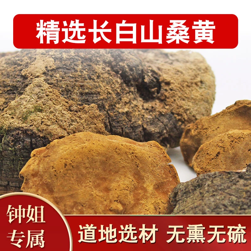 长白山 桑黄 净重250克 滋补精选