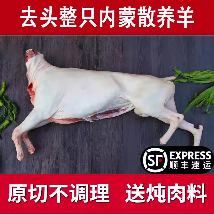 内蒙古烤全羊新鲜现杀羊肉10-40斤 冷藏整只小全羊烧烤酒店烤全羊