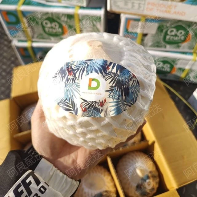 【坏果包赔】泰国D牌香水椰青整件9粒装新鲜水果顺丰快递