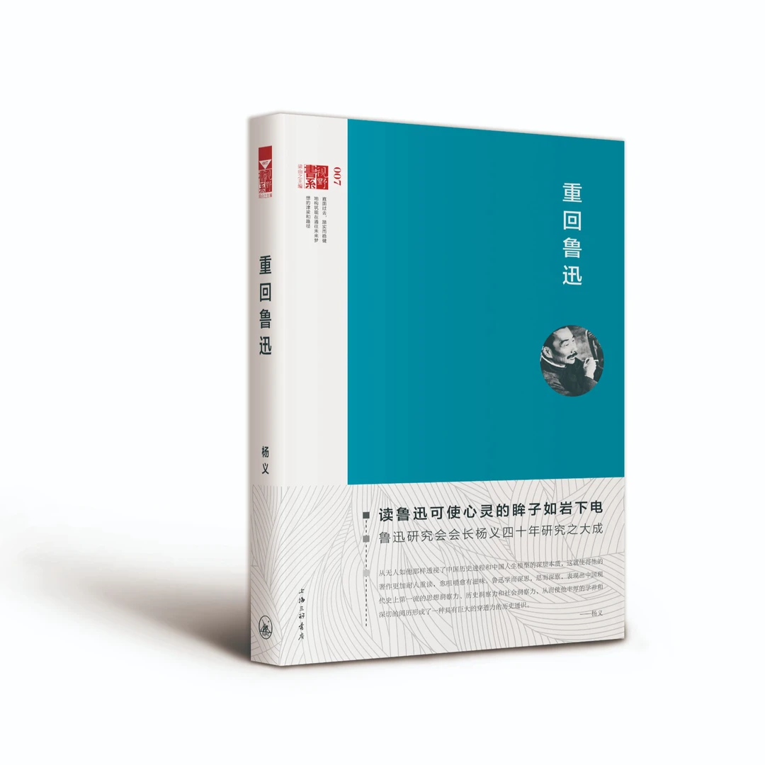 视野书系 重回鲁迅 （精装）