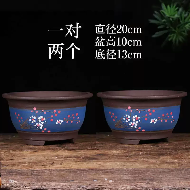 Z4号20cm+20cm蓝色富贵点彩精品紫砂盆大口径兰花盆君子兰陶瓷盆