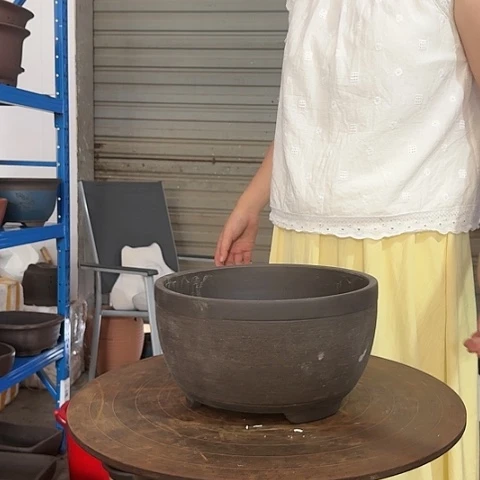 红陶20CM（含）-50CM（不含）绿箩拉毛大