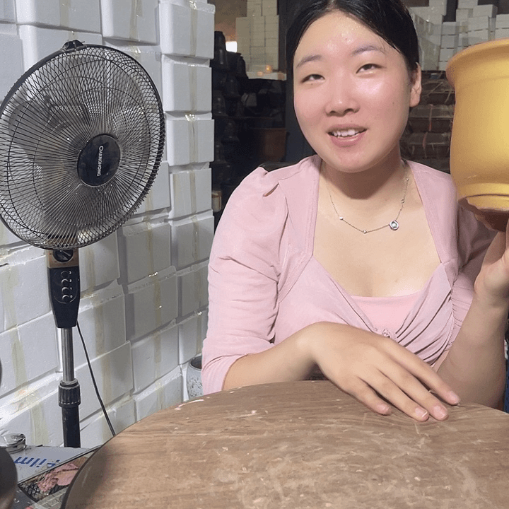 红陶20CM（含）-50CM（不含）黄金小马中25