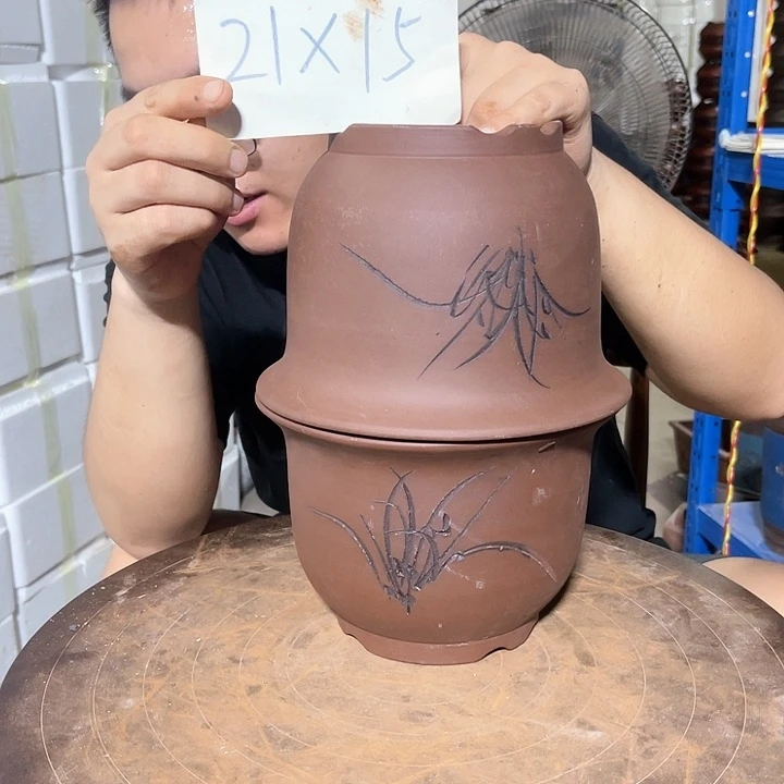 红陶20CM（含）-50CM（不含）平角金种21/21