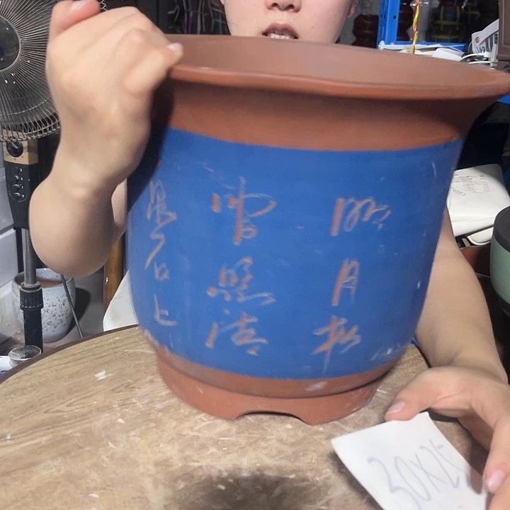 红陶20CM（含）-50CM（不含）蓝梦大