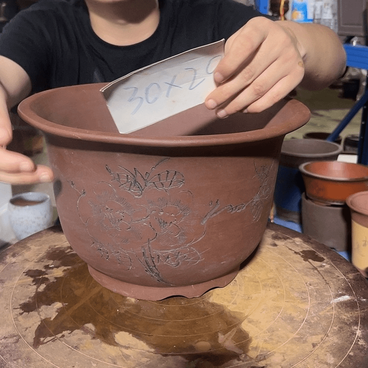 红陶20CM（含）-50CM（不含）平角金钟30