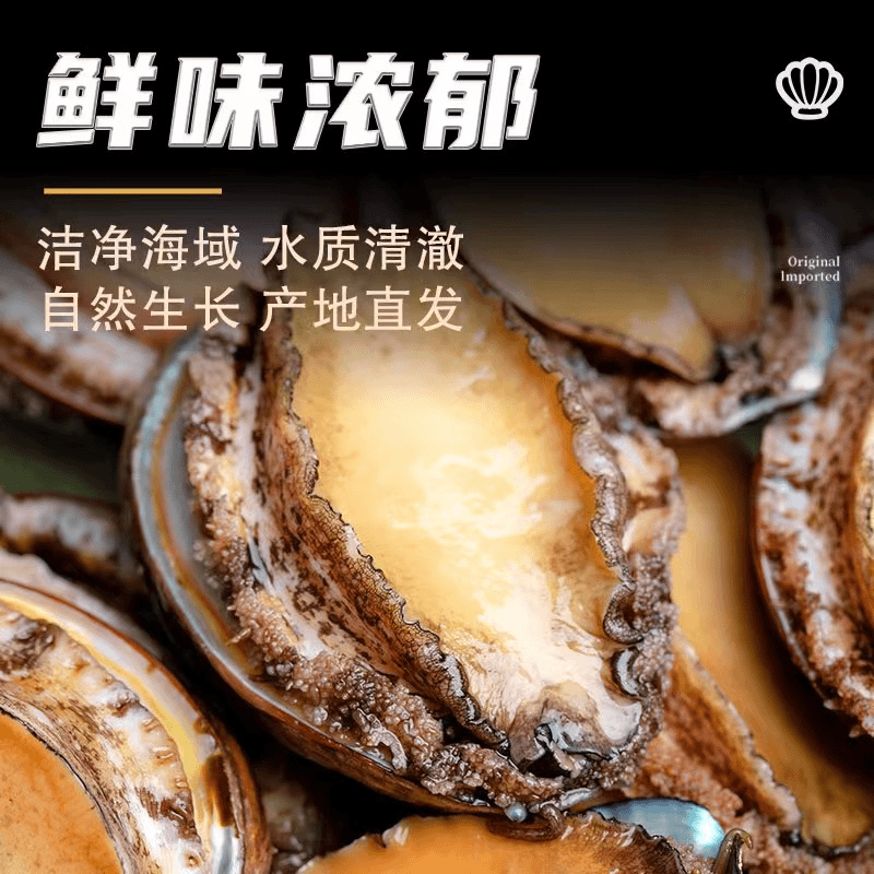 8头规格一份鲍鱼6.5-7cm到手20+4只共24只 活鲍单只速冻 青岛顺丰
