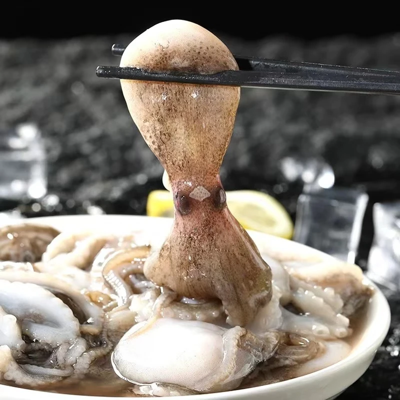 野生短腿八爪鱼/章鱼 共4斤（一斤16-20条）鲜货速冻锁鲜青岛发顺丰