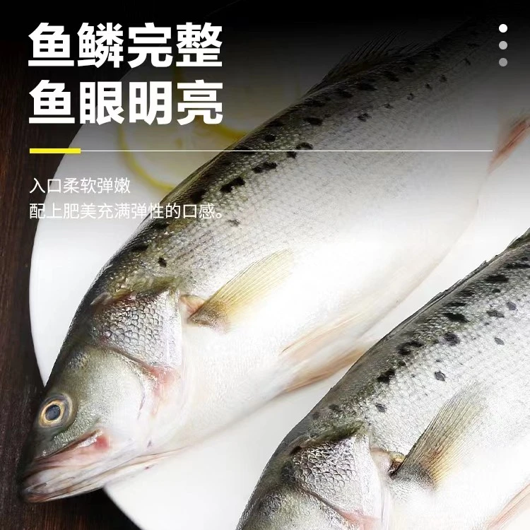 深海野生海捕鲈鱼 肉质鲜嫩 鲜鱼速冻锁鲜青岛发顺丰5斤共8条左右