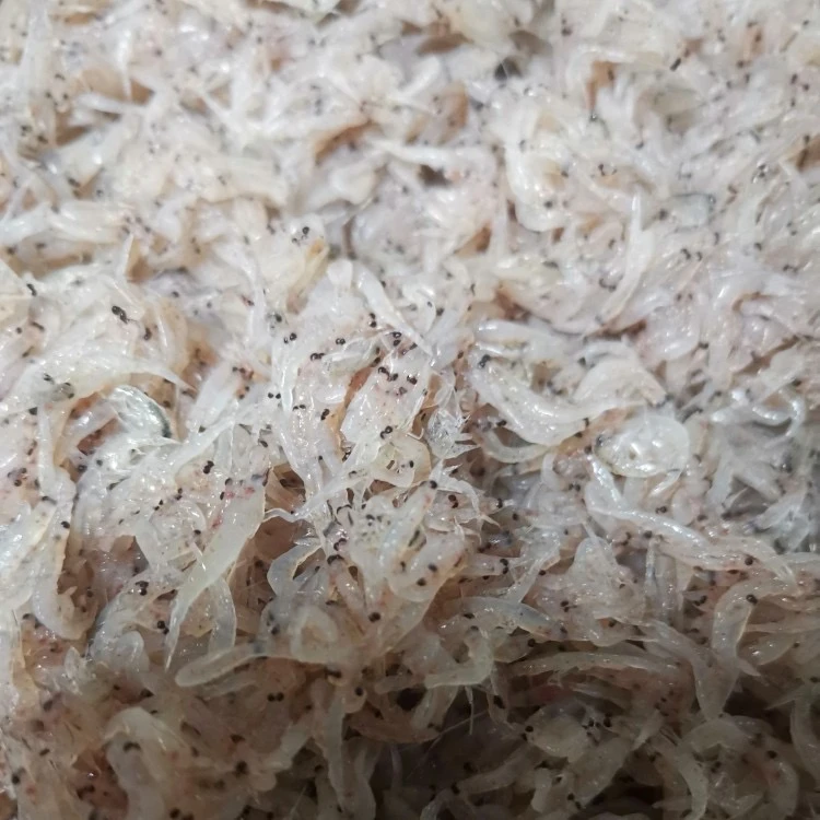 新鲜食用小虾苗  做虾酱用 5斤装 青岛顺丰速冻锁鲜冷冻发货